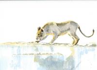 Watercolour,Catherine Apps,Lion