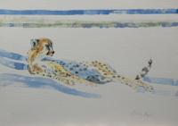 Watercolour,Cheetah,Catherine Apps