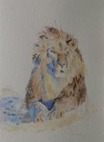 Watercolour, Lion,catherine Apps