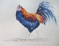 Watercolour, Cockerel,Catherine Apps