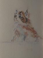 Watercolour,Kitten,Catherine Apps